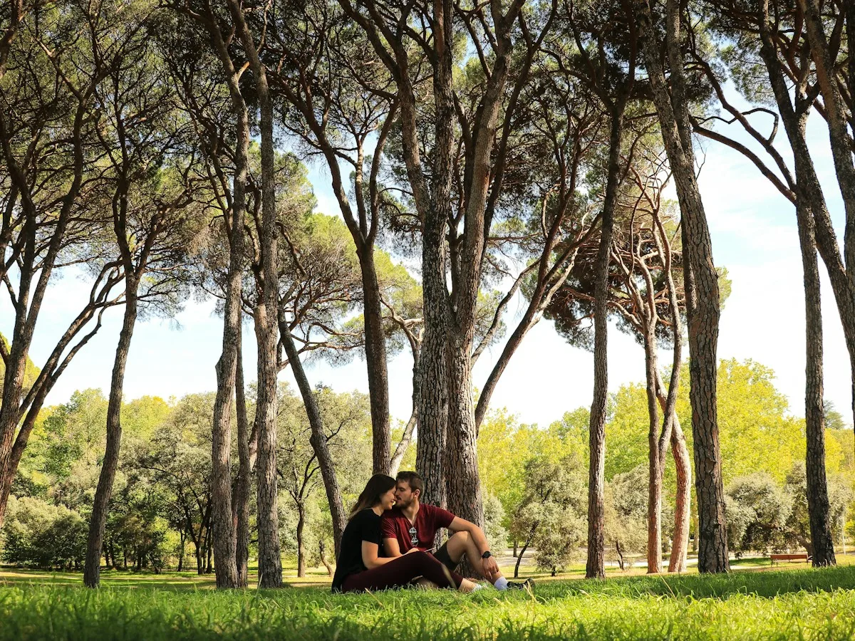 A man and a woman sitting together under pine trees in a Madrid park