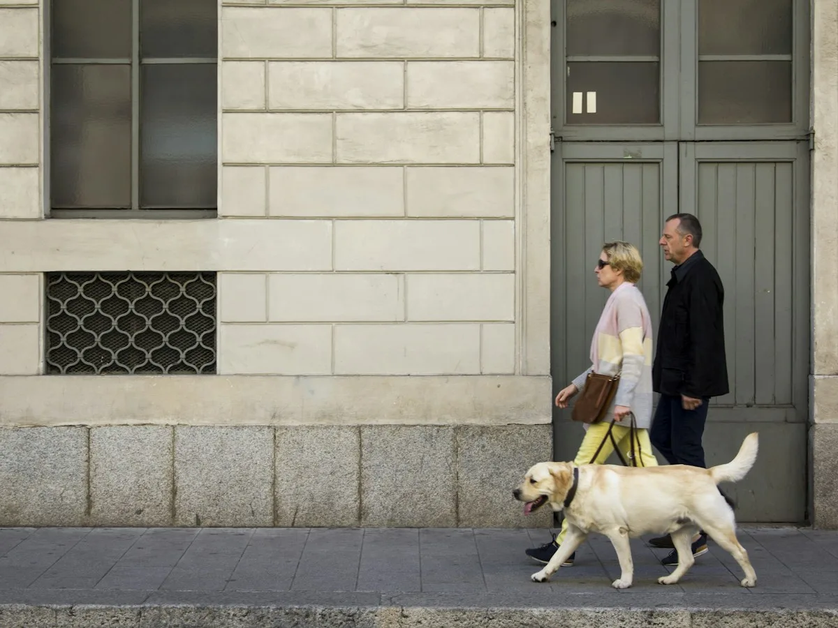 A man and a woman walking a Labrador past a Milan doorway