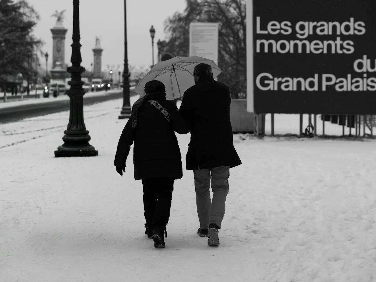 A couple sharing an umbrella on a snowy Paris street near the Grand Palais