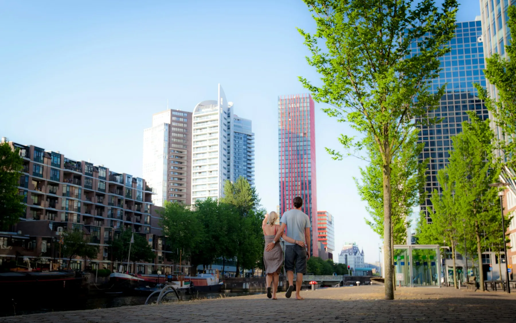 A couple walking along a tree-lined Rotterdam street with high-rise buildings beyond